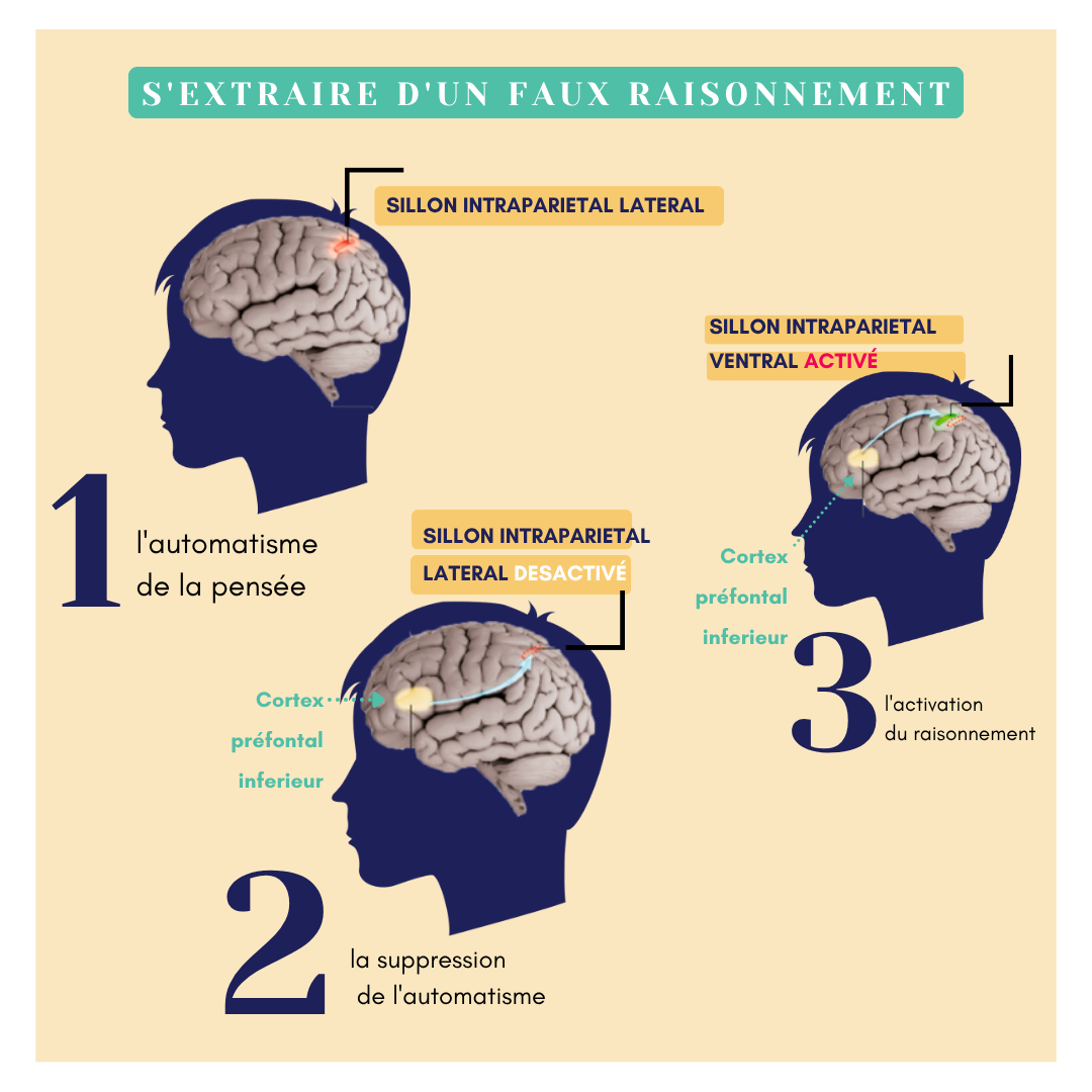Visuel réseaux sociaux Voix d’école — infographie pédagogique